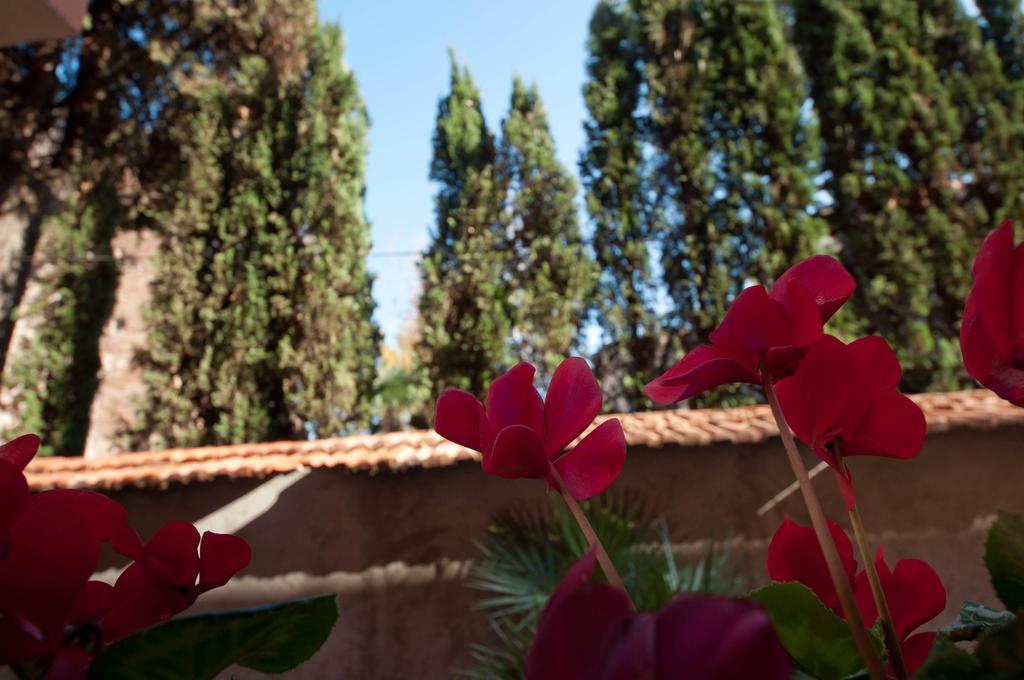 Apartamento Casa Moroni Trastevere *
